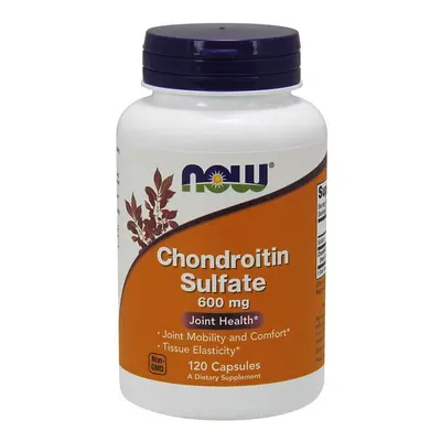 (120 caps) Chondroitin Sulfate, 600mg - caps