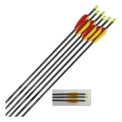 Petron Archery Target Arrows Fibreglass inch - round ends