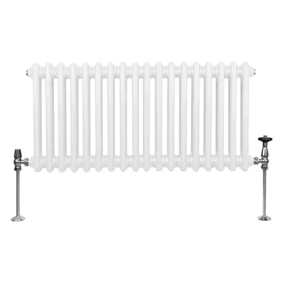 (300mm x 832mm, White) Traditional Column Radiator Heater