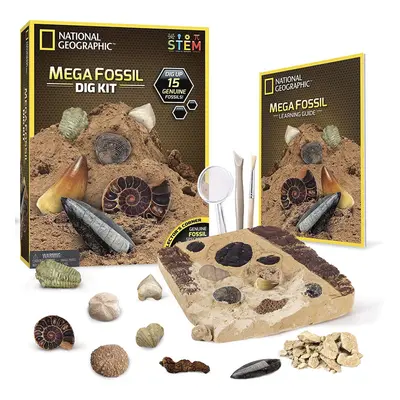 National Geographic Mega Fossil Dig Kit â Excavate Real Fossils Including Dinosaur Bones, Educ