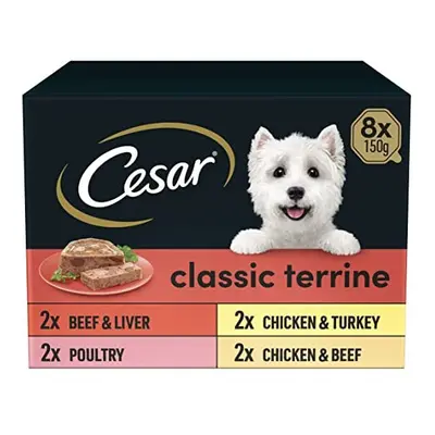 Cesar Classic Terrine in Jelly Trays, Adult Premium Wet Dog Food, Mixed Selection, Pack of (8 x 