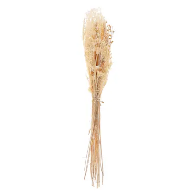 Dried Flower Bouquet BRUNETE cm Natural