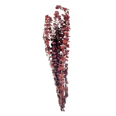 Dried Flower Bouquet BADAJOZ cm Red