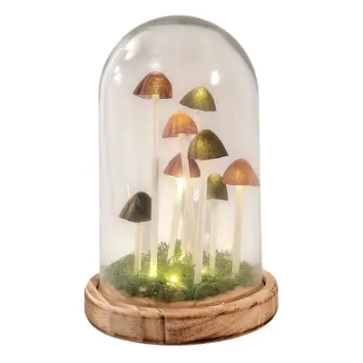 Mushroom Glass Globe with L.E.D Lighting - Measuring 17cm