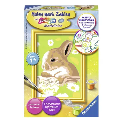 Ravensburger "Bunny Flecki Painting By Numbers Set