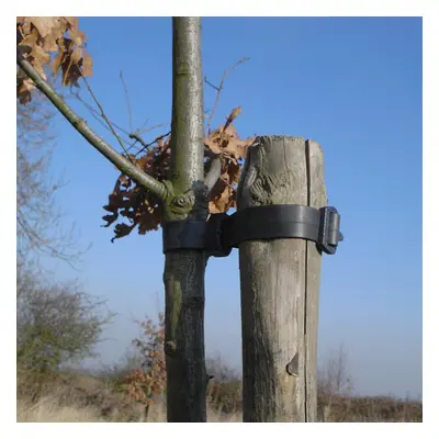 (30cm x 1.25cm, 500) Heavy Duty Buckle/Rose & Shrub Tree Ties Very Strong Plant Support Various 