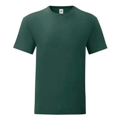 (3XL, Forest Green) Fruit Of The Loom Mens Iconic T-Shirt (Pack Of 5)