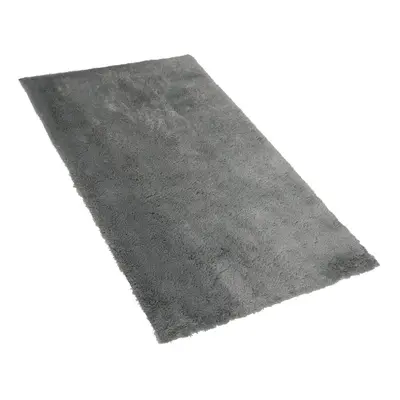 Shaggy Area Rug x cm Grey EVREN