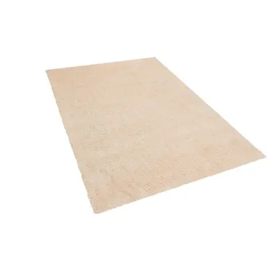 Light Beige Shaggy Rug x cm DEMRE