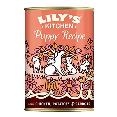 Lily's Kitchen Puppy Recipe with Chicken Wet Dog Food, x 400g