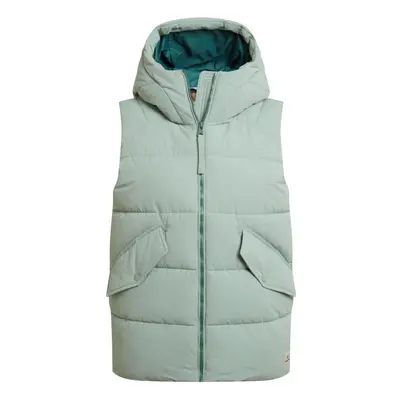 (14 UK, Pale Pistachio) Craghoppers Womens/Ladies Andes Waterproof Hooded Gilet