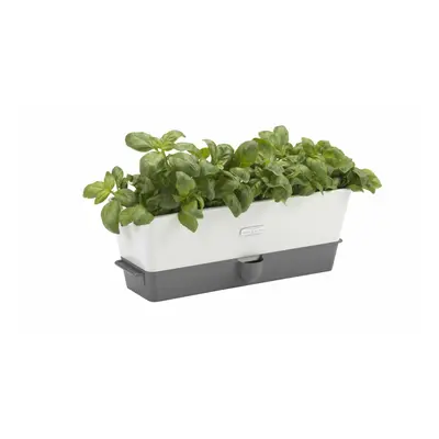 Cole & Mason Fresh Herb Range Self-Watering Potted Herb Keeper, Enamel Coated Steel, White and G