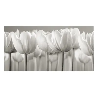 Ian Winstanley (White Tulips) x x 4cm Canvas Print