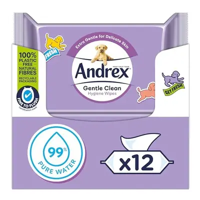 Gentle Clean Moist Toilet Tissue - Fine to Flush - Hygiene Wipes Single (12 Packs x Sheets)