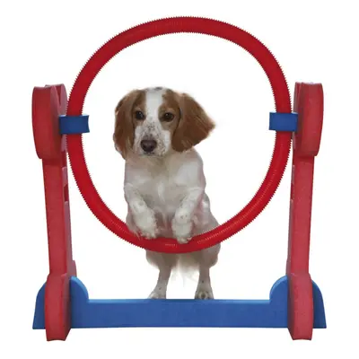 Sml Dog Agility Hoop