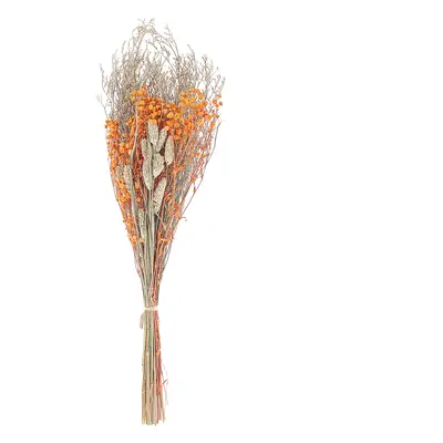 Dried Flower Bouquet CERCEDILLA cm Orange