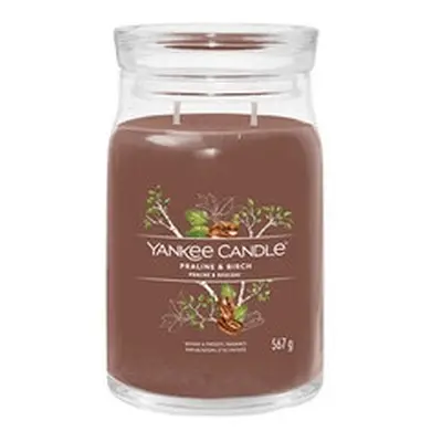 Yankee Candle - Praline & Birch Signature Candle ( pralinka a bÅÃ­za ) - VonnÃ¡ svÃ­Äka 567.0g