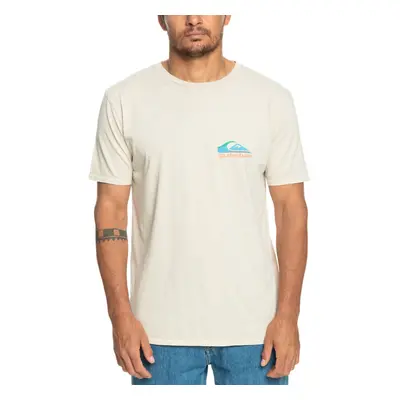 (S, Birch) Quiksilver Mens Passtime Paradise Short Sleeve Crew Neck Cotton T-Shirt Top Tee