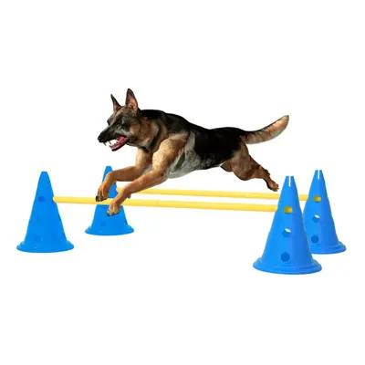 vidaXL Dog Activity Obstacle Set Orange and Yellow Outdoor Dog Training Set