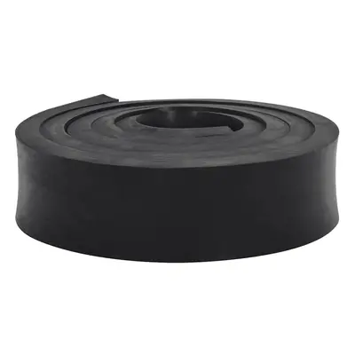 (250 x x cm) vidaXL Rubber Edge for Snow Plow Replacement Snow Plow Cutting Edge Black