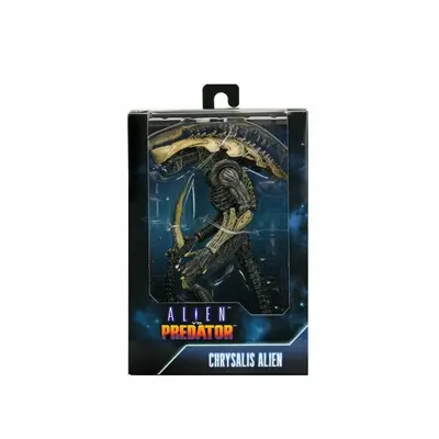 Alien Vs Predator - 7'' Scale Action Figure - Chrysalis Alien (Movie Deco)