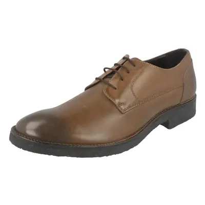 (UK 6, Storm Brown (Brown)) Mens Lambretta Smart Formal Lace Up Shoes M-81