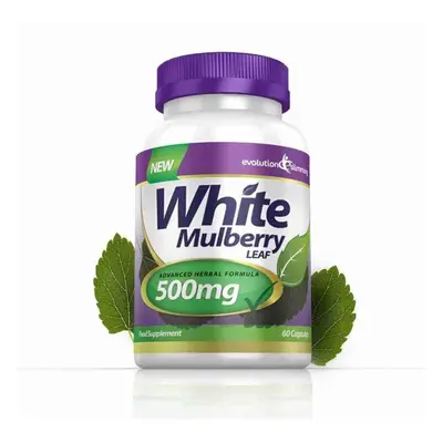 White Mulberry Leaf Extract 500mg - Capsules - Sugar Controller - Evolution Slimming