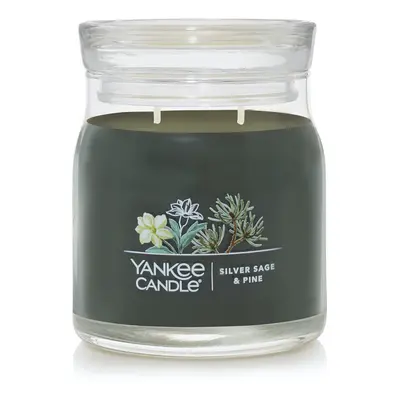 Yankee Candle Silver Sage & Pine Scented Signature 13oz Medium Jar 2-Wick Candle Over Hours of B