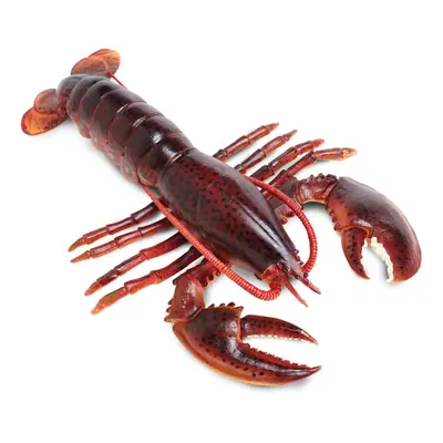 Safari Ltd. Maine Lobster Figurine - Realistic 8"" Crustacean Figure - Educational Toy for Boys 