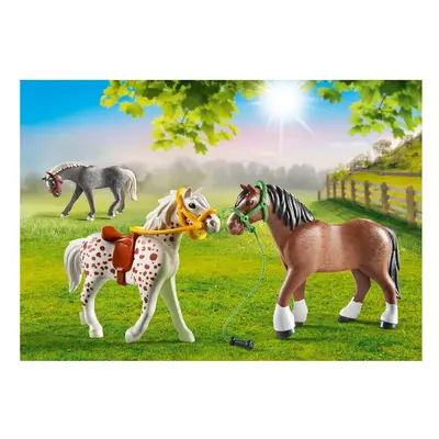 Country - Pony Set (70683)