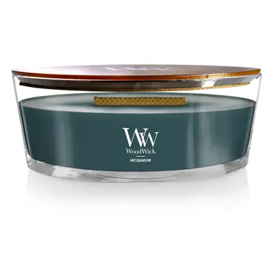 WoodWick Antiquarium Ellipse Candle