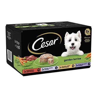 Cesar Garden Terrine - Wet Dog Food for Adult Dogs 1+ Mixed Selection in Loaf, Trays (24 x g)