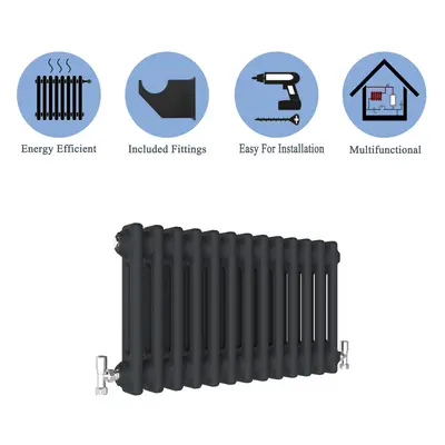 (Black, 300*605mm) Cast Iron Style Radiators