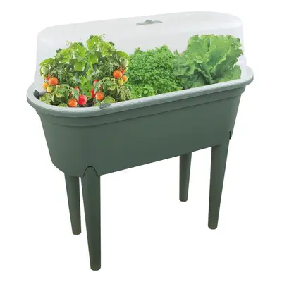 GEEZY Green Raised Garden Bed Plant Box Vegetable Grow Greenhouse Table With Lid