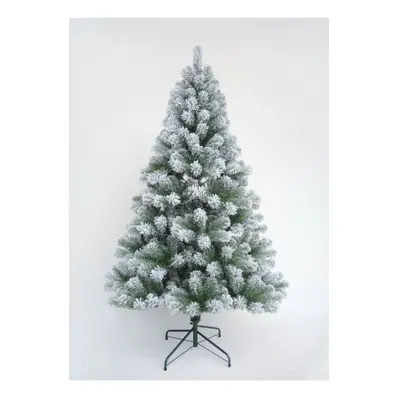 (240cm Colorado Snow Spruce) Snow Spruce Christmas Tree