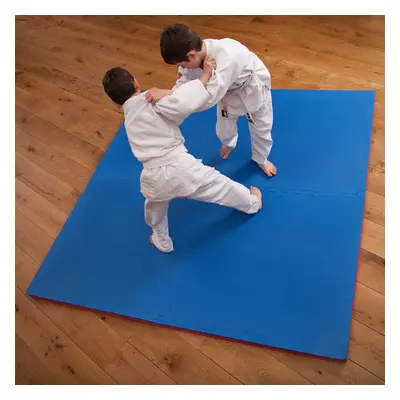 Martial Arts Floor Mats 40mm Thick Karate Judo Kick Boxing Gym