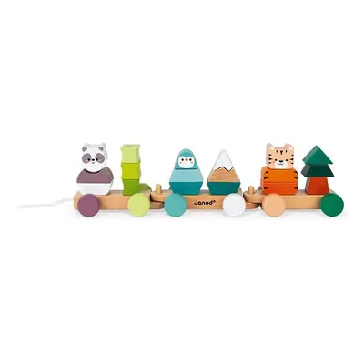 Janod Train-La Balade des Animaux-Wooden Activity Toy-to Develop Fine Motor Skills, Learn Colour