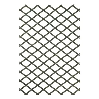 Nature pcs Garden Trellises 100x200 cm Wood Green