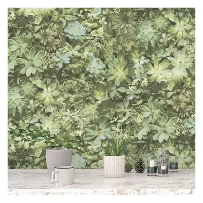 Noordwand Wallpaper Decor Wall Sticker Evergreen Succulent Green and Beige