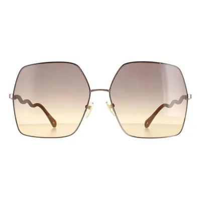 Chloe Sunglasses CH0054S Beige Brown Gradient