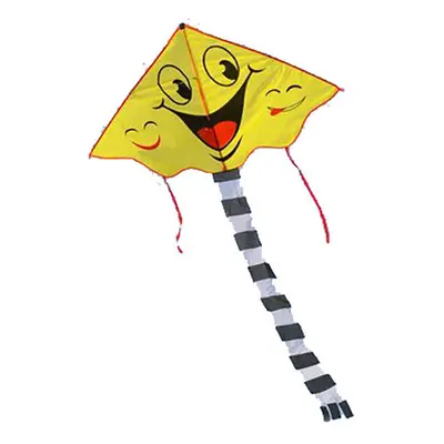 Smiling Face Kite Two Patterns Cartoon Kite Sports Beach Kite for Kids