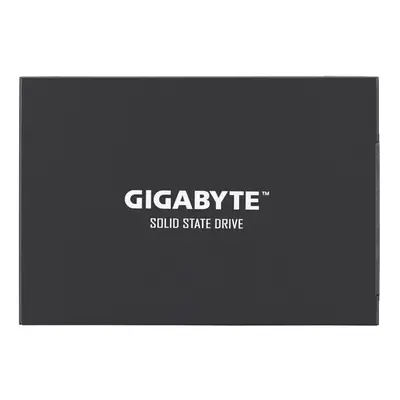 Gigabyte GP-GSTFS31120GNTD GB Serial ATA III 2.5"