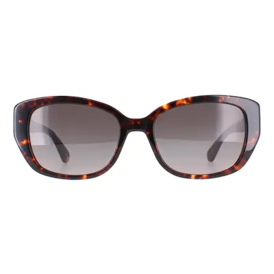 Kate Spade Sunglasses Kenzie/G/S HA Havana Brown Gradient