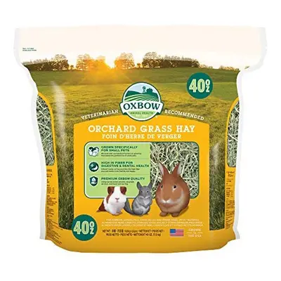 Petlife Oxbow Orchard Grass Hay for Small Pet, 1.13 kg