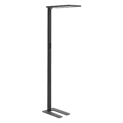 LED Floor Lamp ORION With Motion Sensor Metal Black