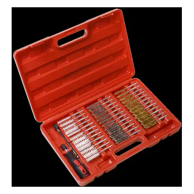 38pc Cleaning Brush Set Injector Bore