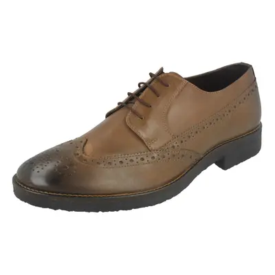 (UK 9, Storm Brown (Brown)) Mens Lambretta Smart Brogues M-82