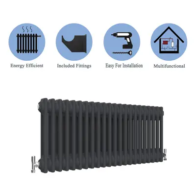 (Black, 300*1010mm) Cast Iron Style Radiators