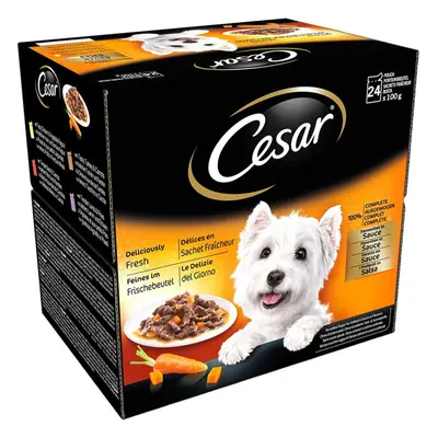 Cesar Deliciously Fresh Dog Pouches Favourites In Sauce 12x100g (Pack of 4)