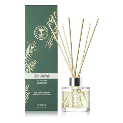 Winter Woodland Diffuser, Scented Reed Diffuser With Fir & Cypress, Long Lasting Fragrance, Vega